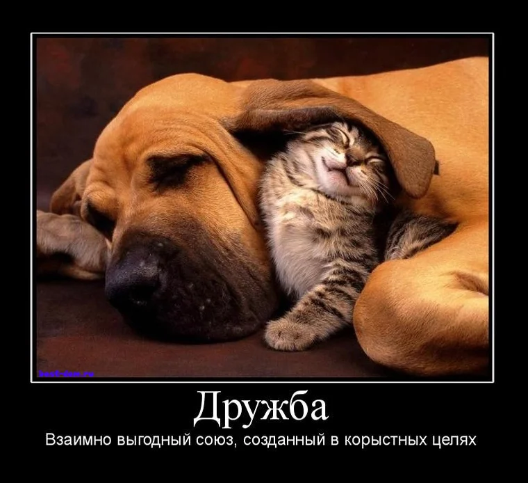 Посмеялся сам - поделись с другом!!!