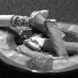 Четверть курильщиков умрет преждевременно