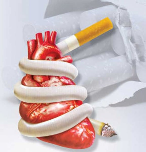 Курение и сердечно-сосудистая система