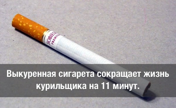 Что будет если выкурить одну сигарету