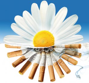 Народные средства помогающие бросить курить