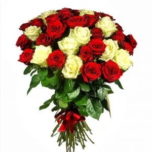 0-02-05-a2692a7e01b1d483e22aefe6e91531c529af0b62ab567ed9e31245f6714547e5_34fa2a75-300x300 (1).webp