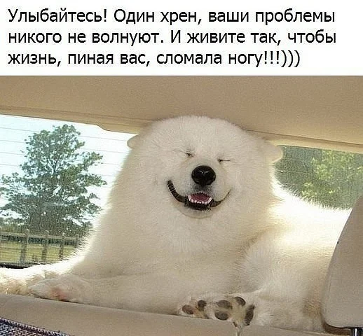 0-02-05-eeeb5b38147eaf2d5a9b5d0e32169e3afae934e4d4e3d29f0f2a2012117a59e3_full.webp
