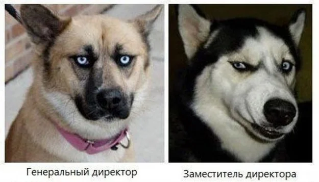 0.webp