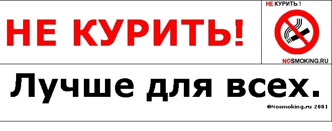 000266342.webp