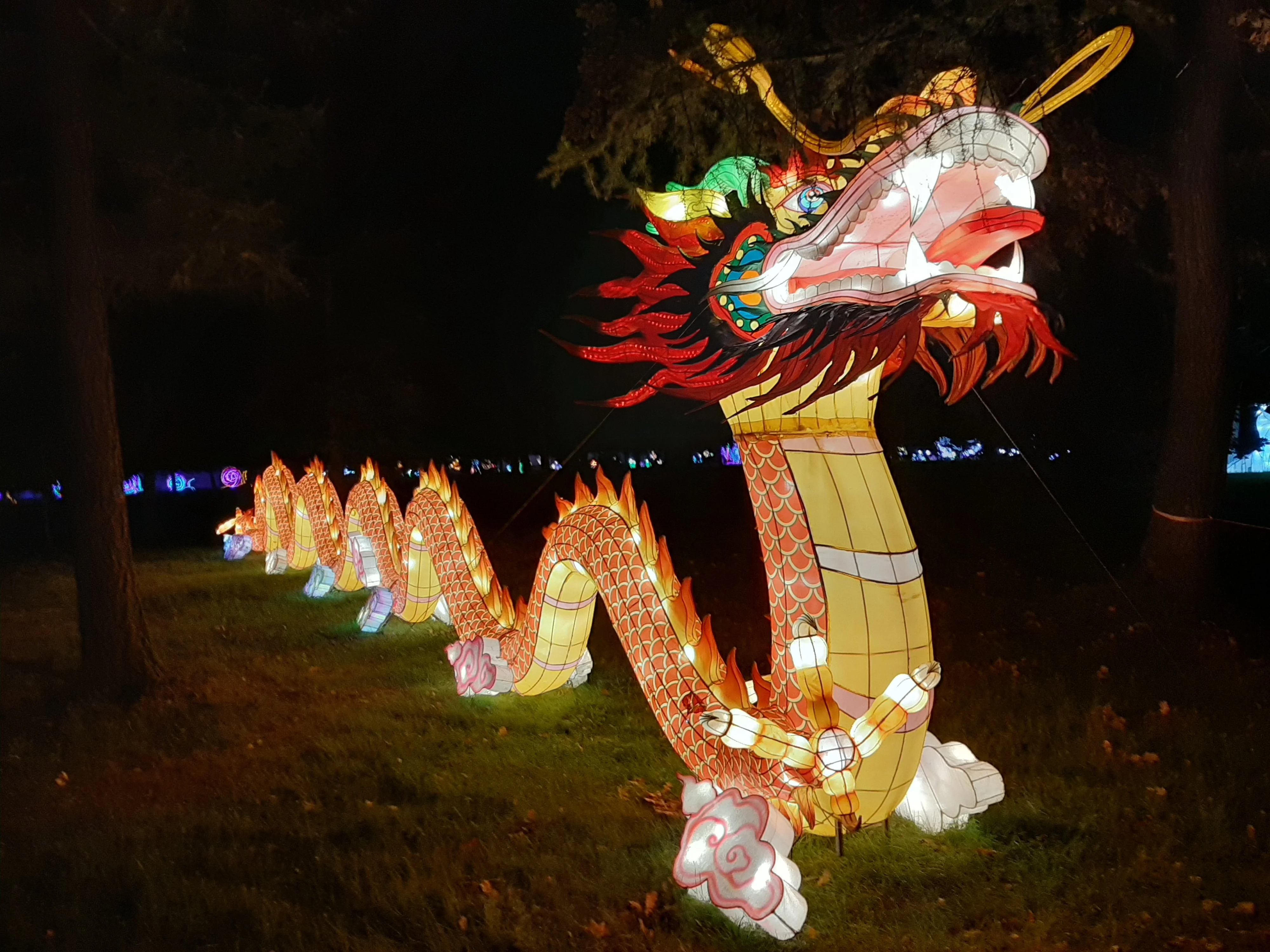 00057-драконы везде -1 .jpg