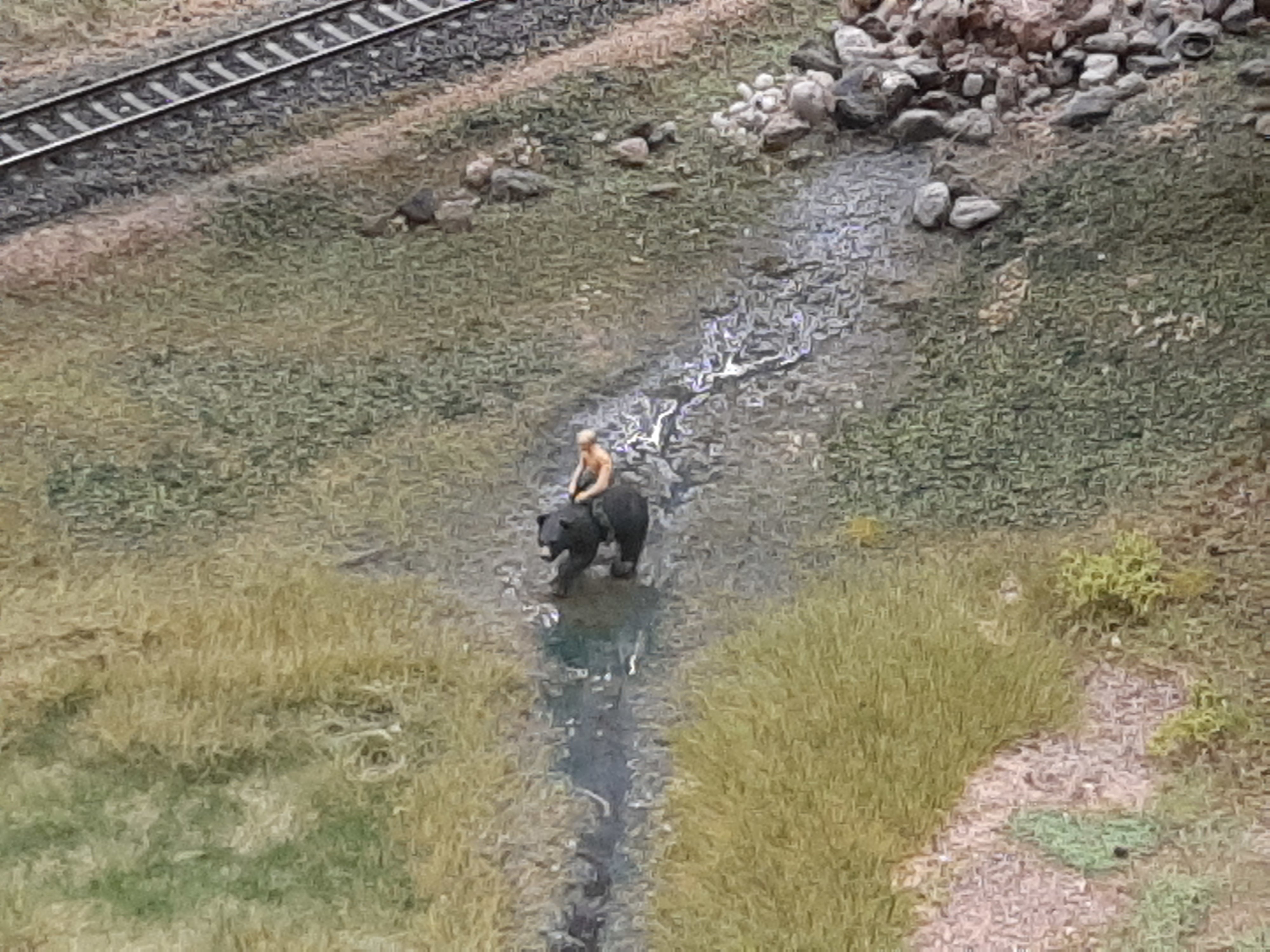 00061-император.jpg 00061-император.jpg