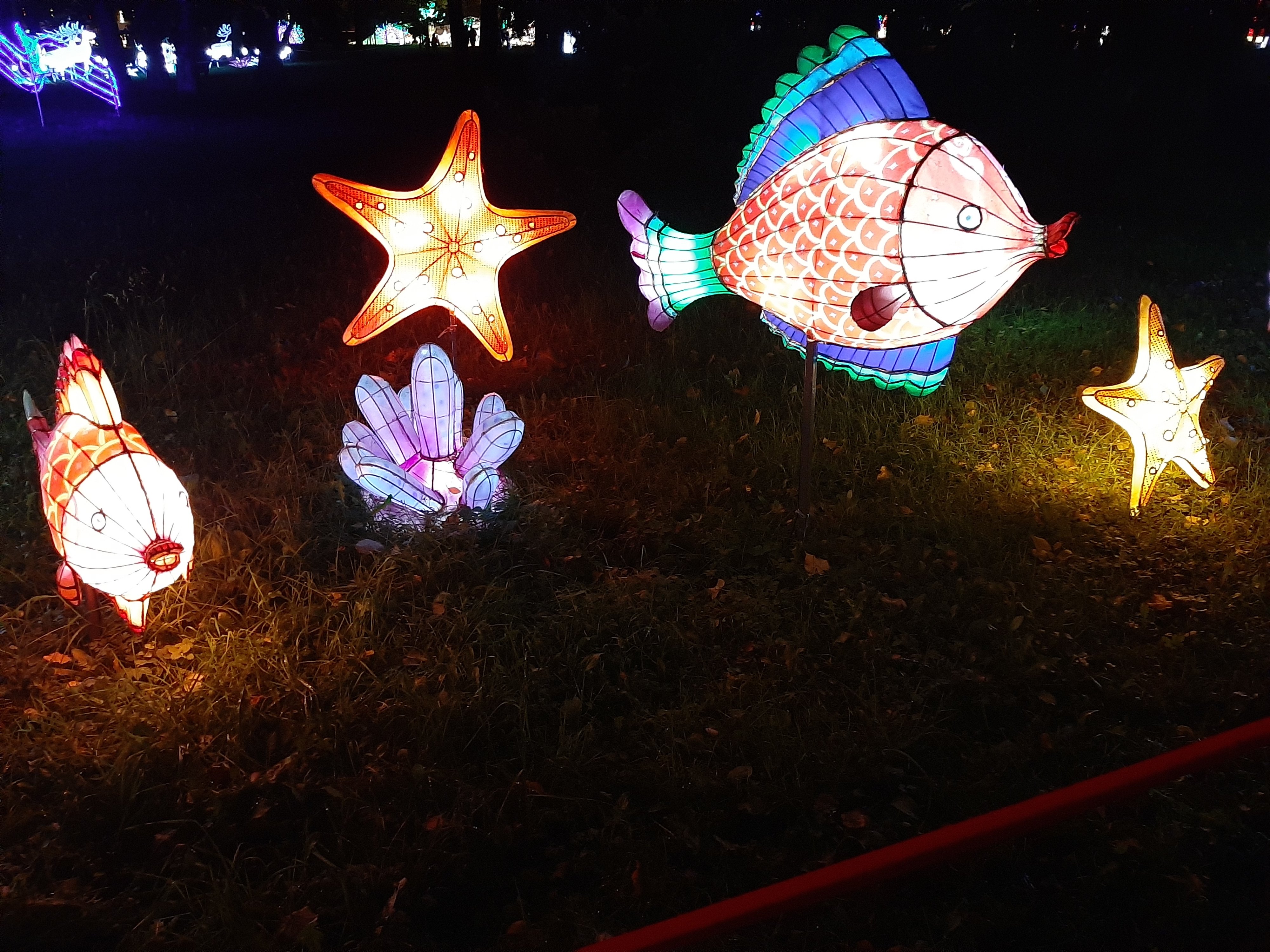 00091-дайвинг.jpg 00091-дайвинг.jpg