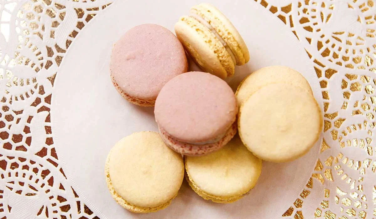 002 — копия — копия.webp