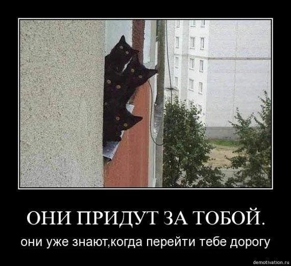 002.webp