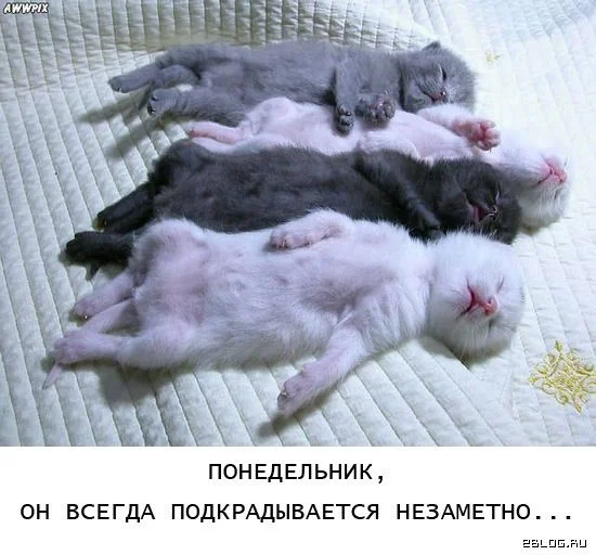 003.webp