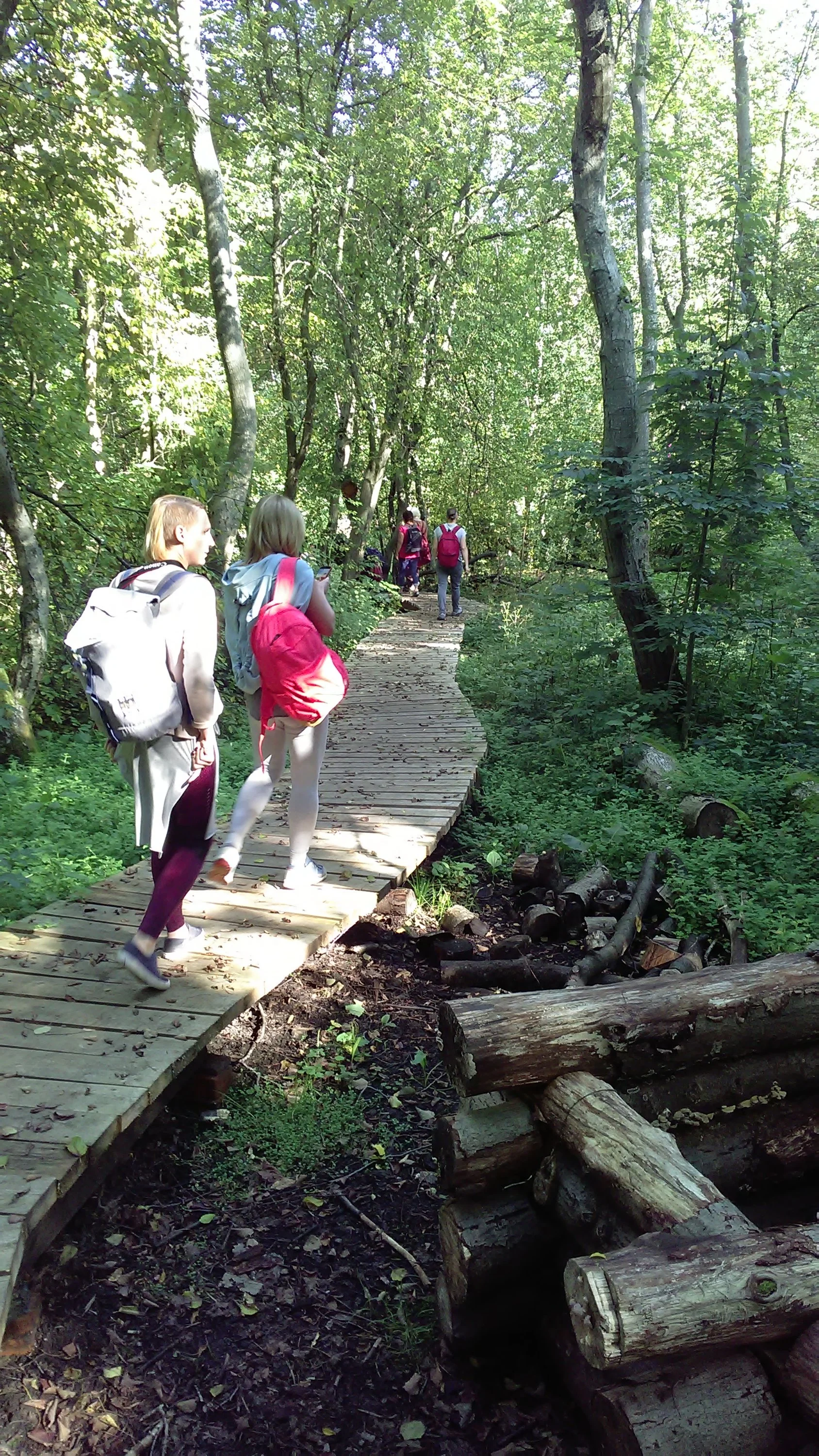 0031_Тропа в лесу.webp