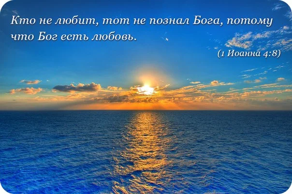 00684017.webp