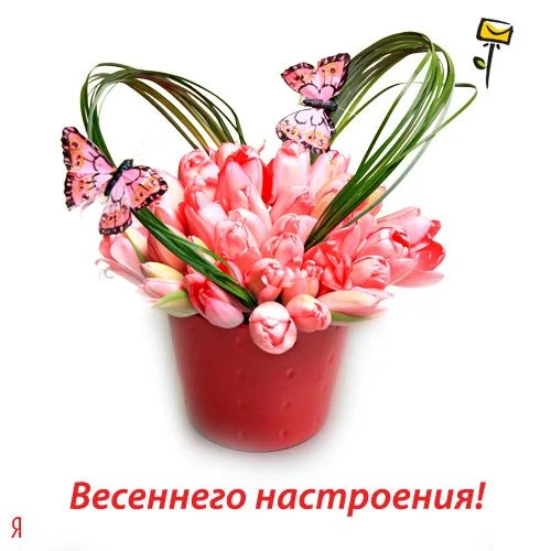 0083_500.webp