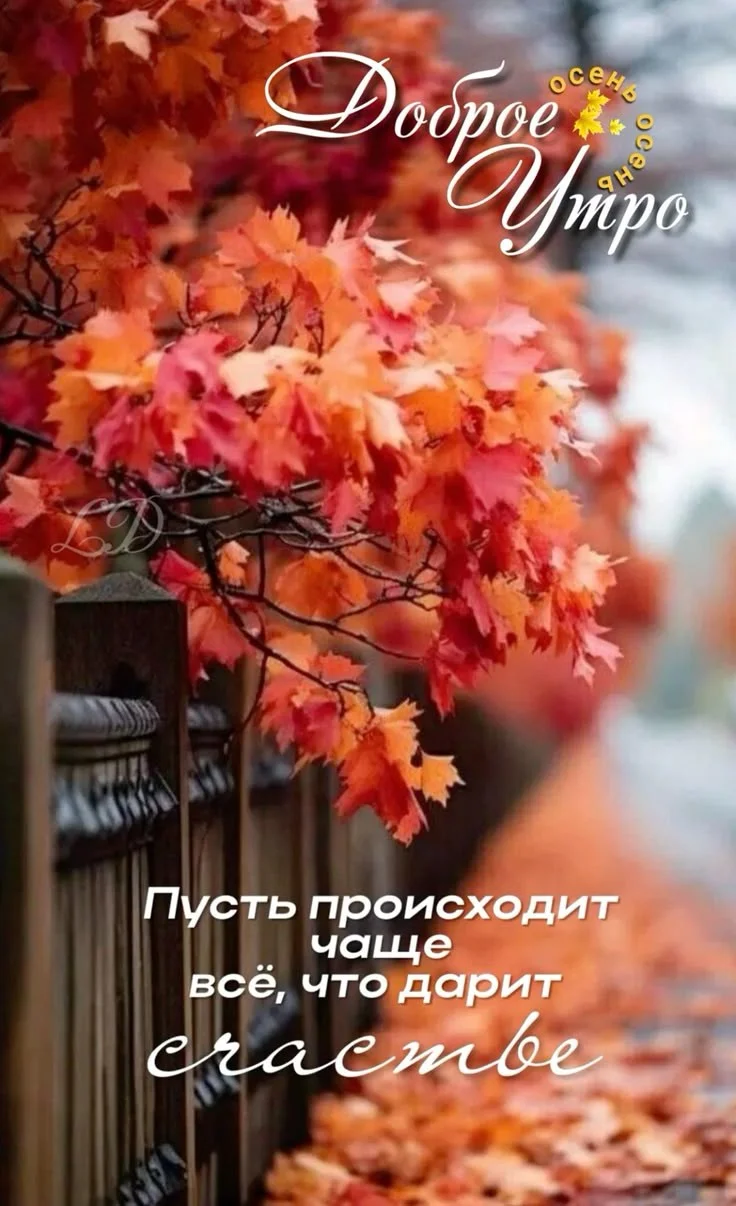 0085f67b94ad36a530669bde68e2d5a1.webp