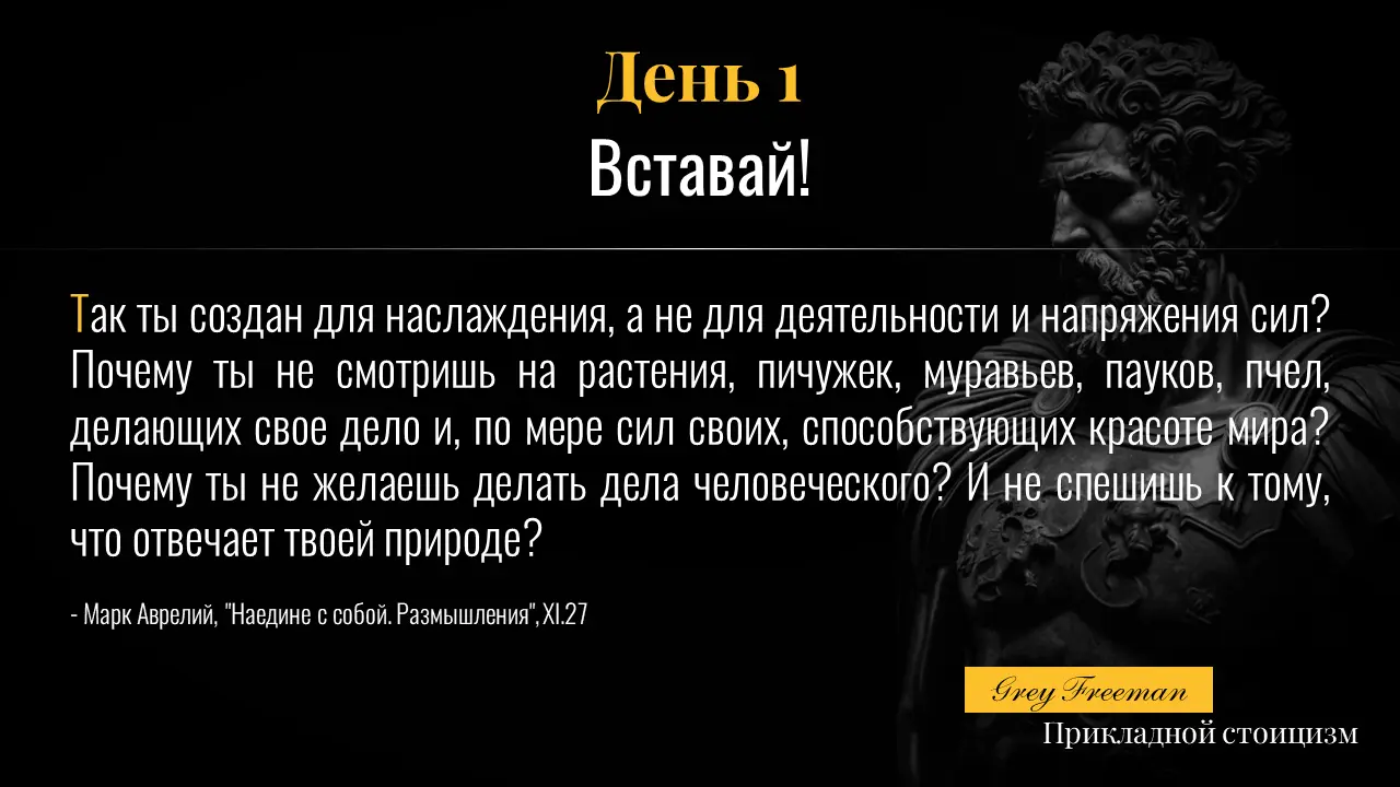 01 - Вставай.webp