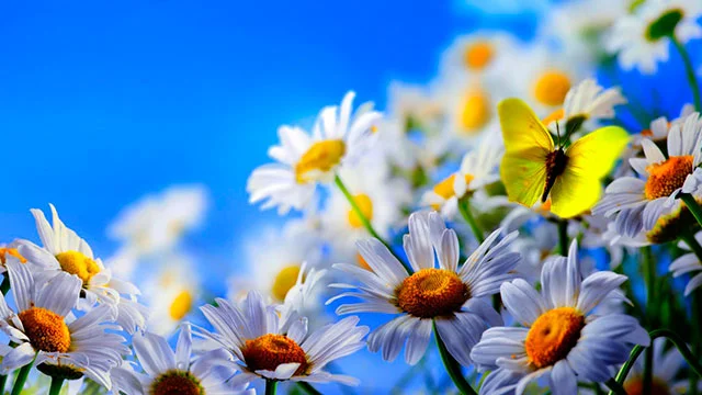 01.webp