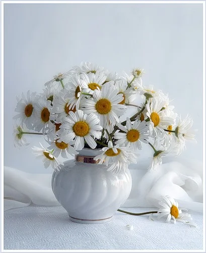 010.webp