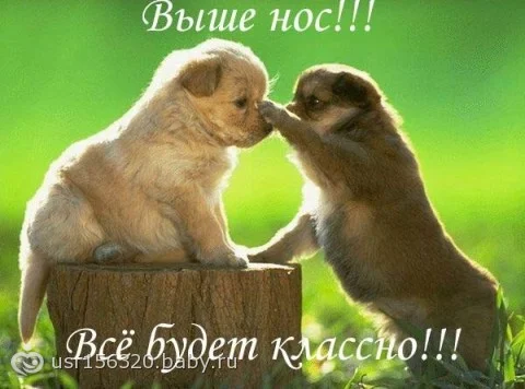 011.webp