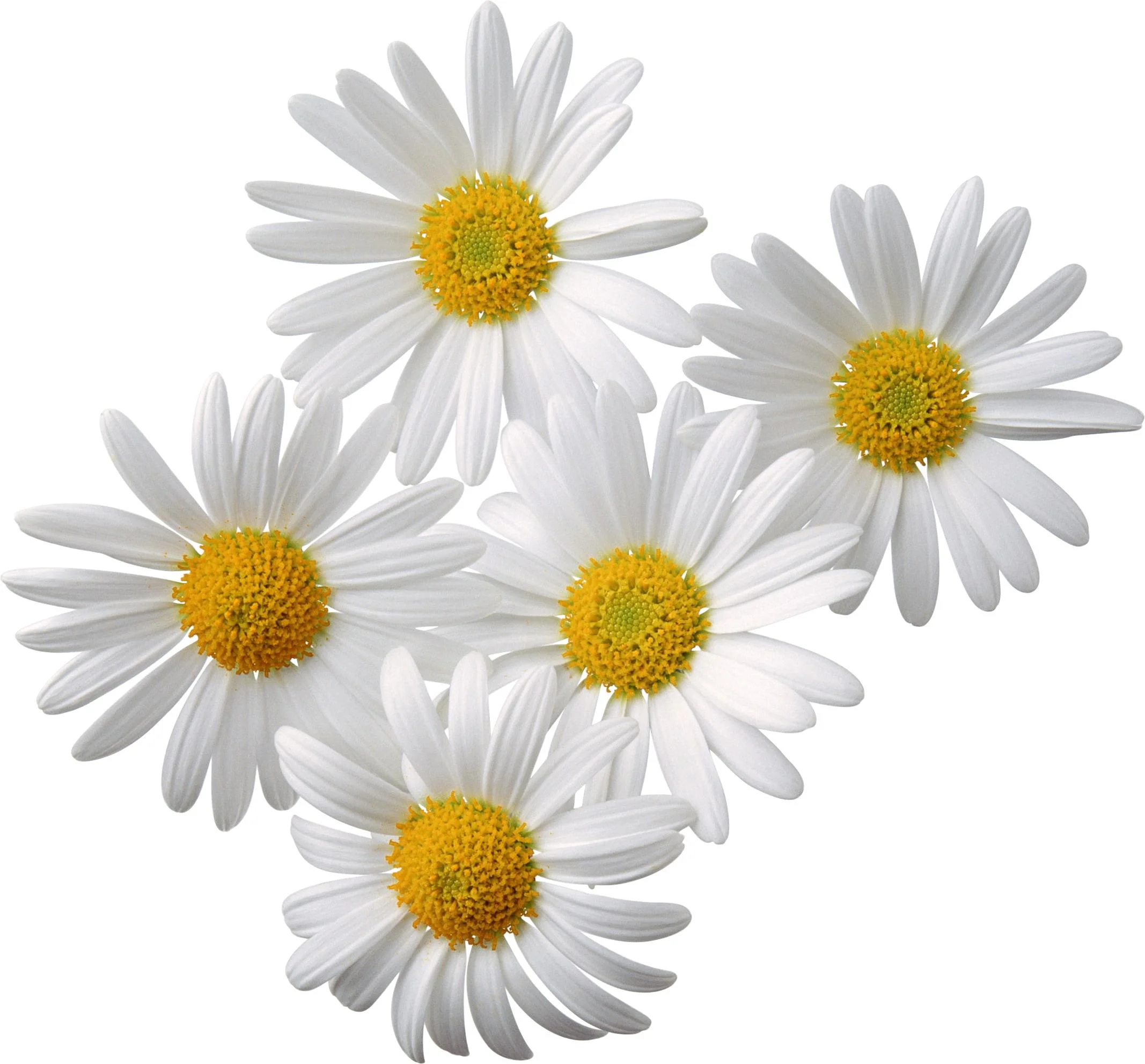 014.webp