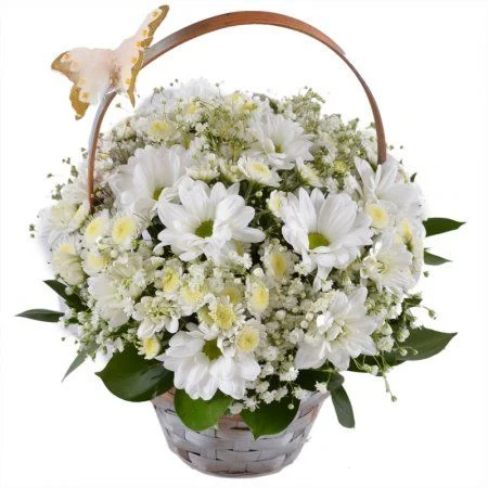 019a7fce750780adef3189bd72789426.webp