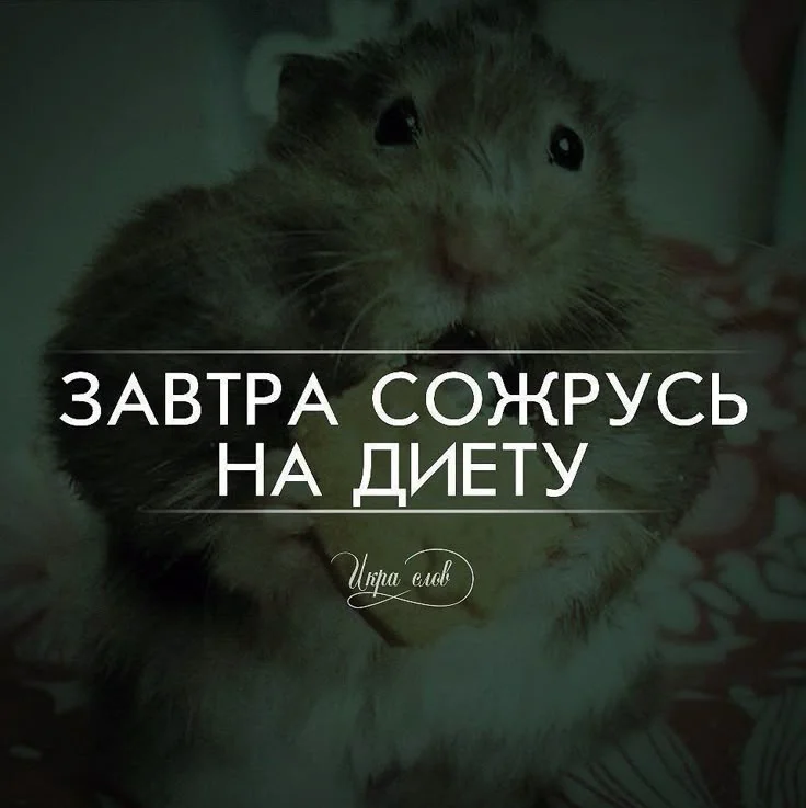 01ad65e3c1649b5e9031bb68bb285bfe.webp