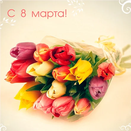 02.webp