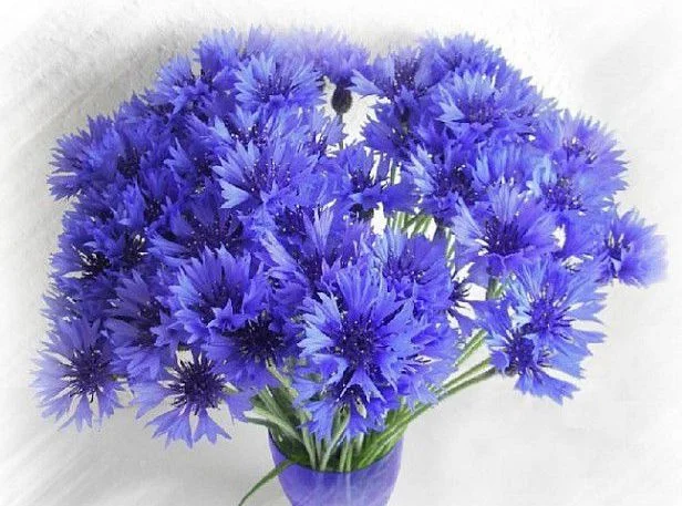 022.webp