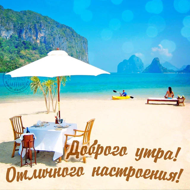 0237631ddb9d0384a6d9c9c2b7139e41-full.webp