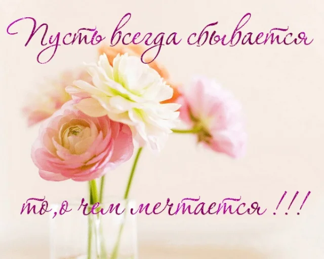 025090d78941.webp