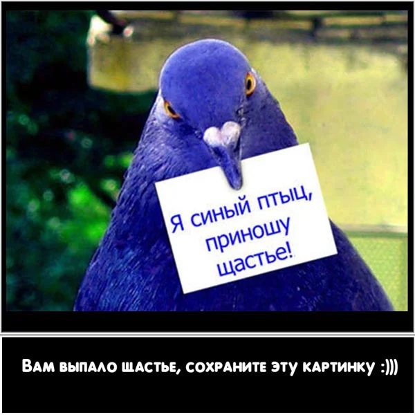0292546.webp
