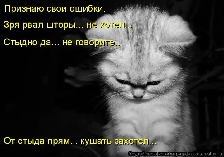033c410210a648f82691af7deab17f26.webp