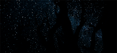 0375c25ca0ef9e3d9ccab139b6aae324.gif