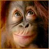 0403.webp