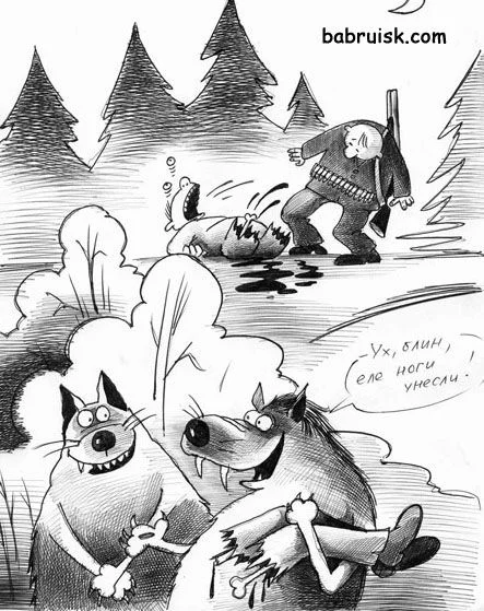 0442b684f1a93cf1589d3cfd4f6dbabd (1).webp