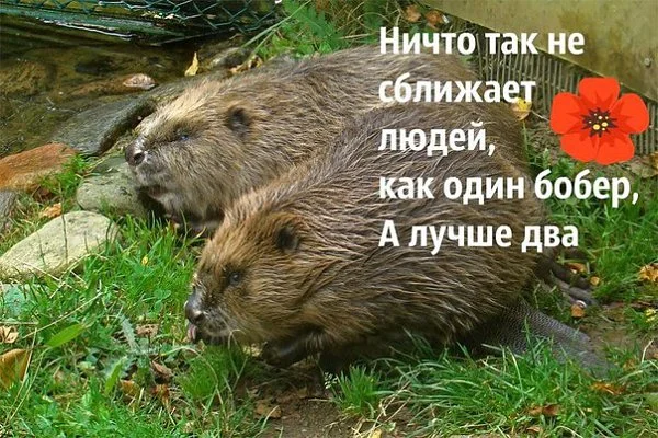 050316230136-6139355 (1).webp