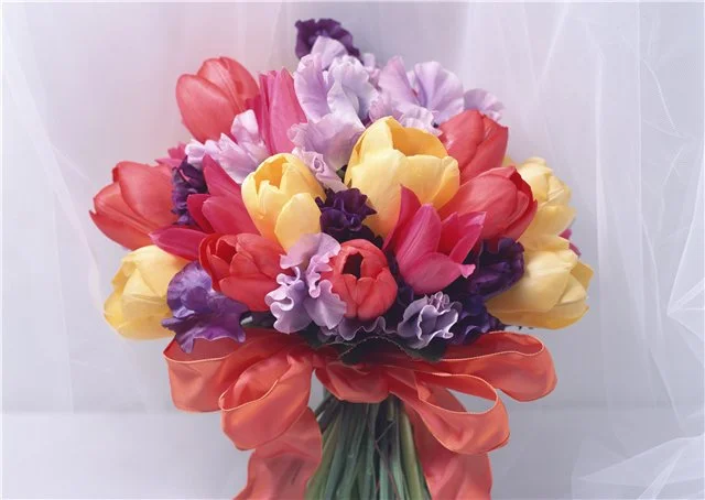 056715e41274.webp