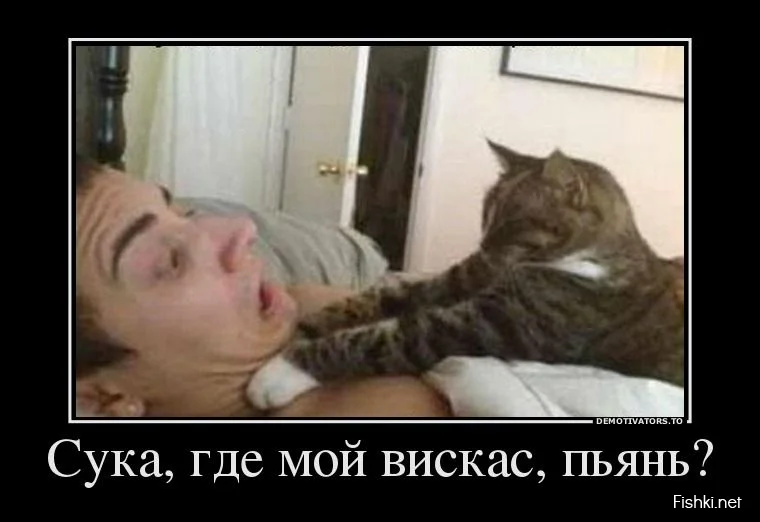 05afa_dem-0022.webp