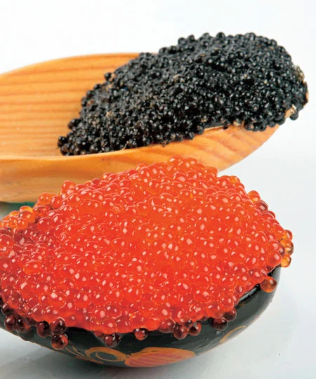 05b6037f0063509ced56a80fd0b634f8 (1).webp