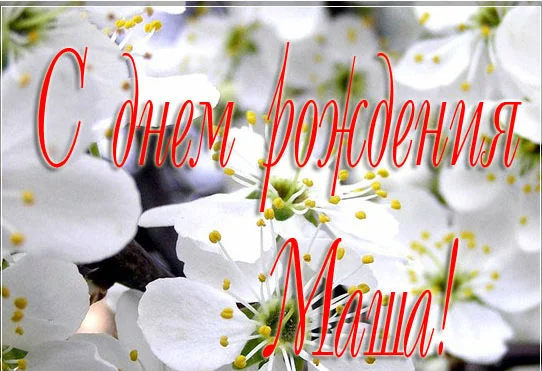 06.webp