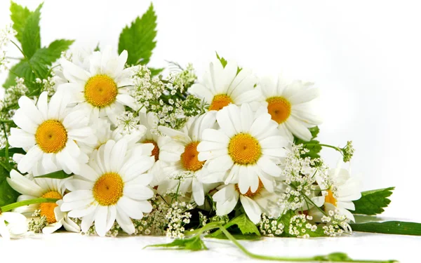 06.webp