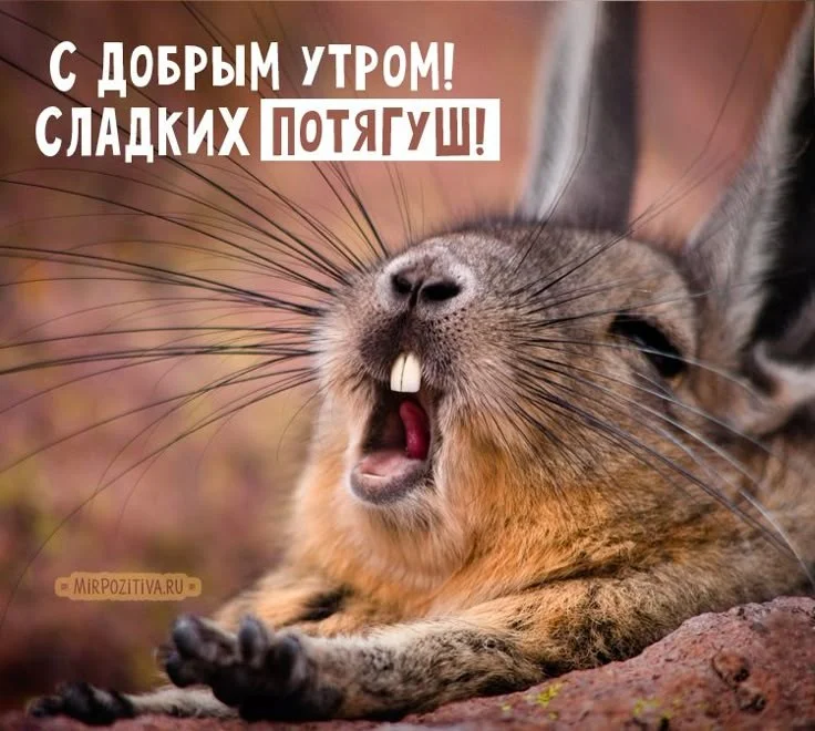 0694a61a4de57e28b868a3a7e70f408c.webp