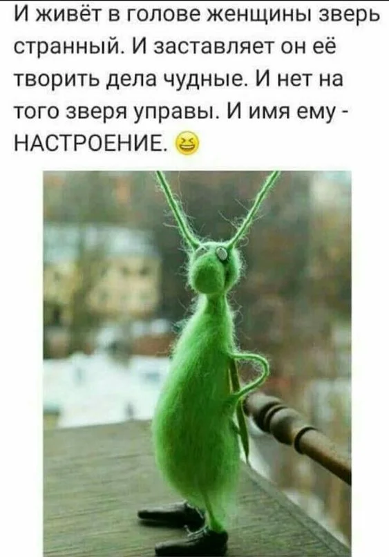 070e7b84440a9840e323391bdbac6d26 (1).webp