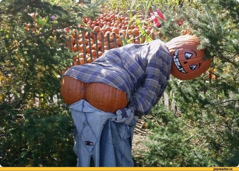 081220342a9110 (2).webp