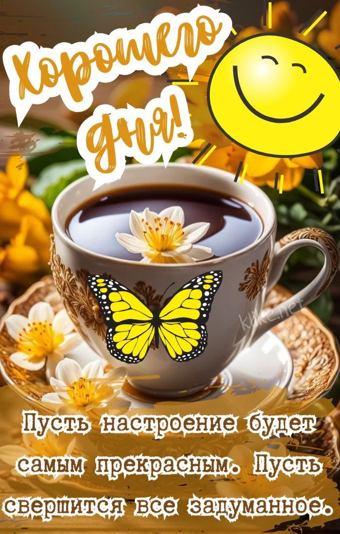 082181c3135e7f5bc665b72a40521286.webp