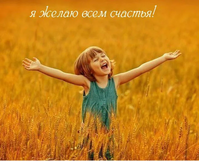 08343925.webp