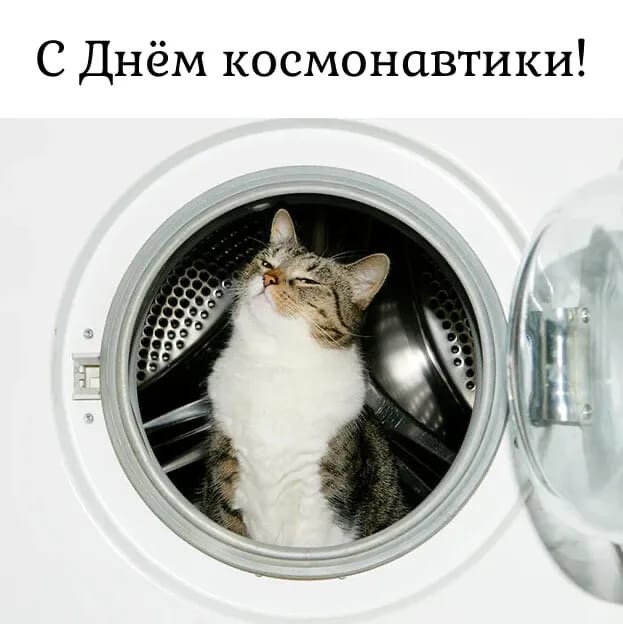 0837AF16-42B1-4AB4-80DA-BCB80AD15473.jpeg