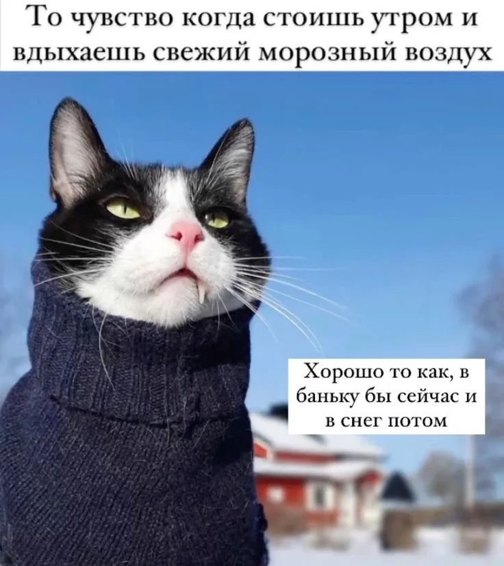 08c284f8c76320e63d68c2b869da1cba (1).webp