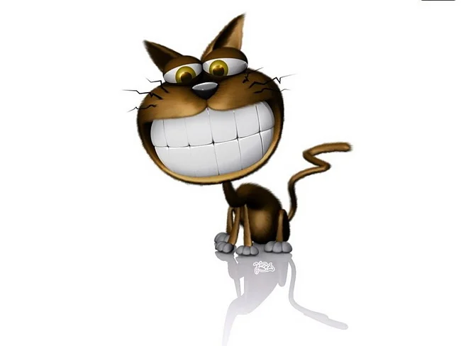 090da7887c25e9d75d006fb4d528f21b.webp