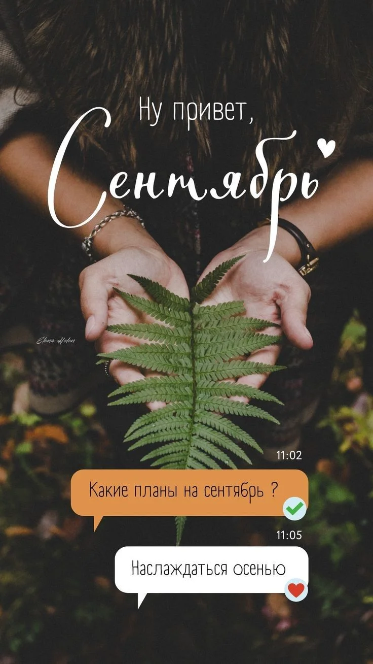 0913d0d49cb4c76c00390cfee5060949.webp